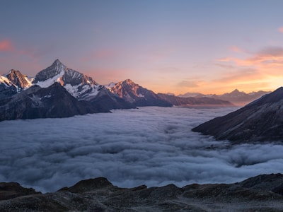 Editorial Illustrations